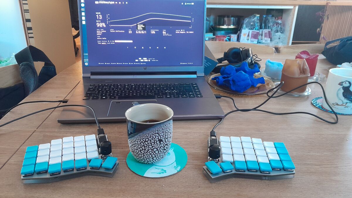 Map of the veafjorden domain